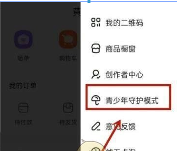 点淘app青少年模式怎么设置-青少年模式设置方法